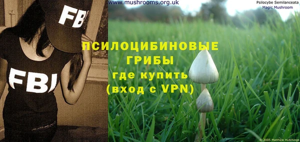эйфоретик Алексин