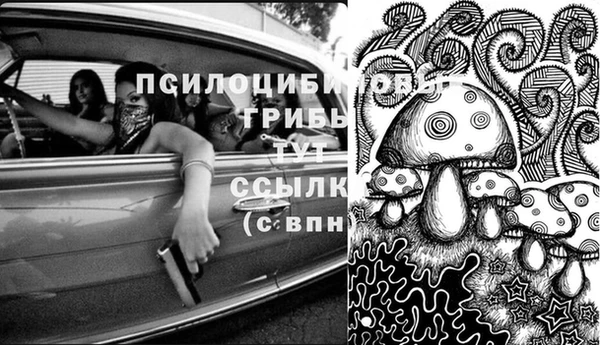 прущие грибы Алексеевка